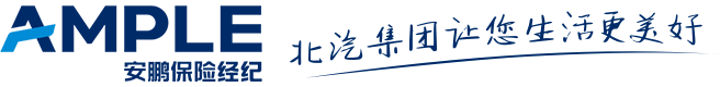 北京安鵬保險(xiǎn)經(jīng)紀(jì)有限責(zé)任公司